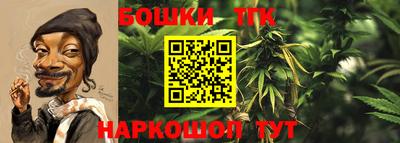 индика Комсомольск-на-Амуре