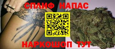 прущие грибы Конаково