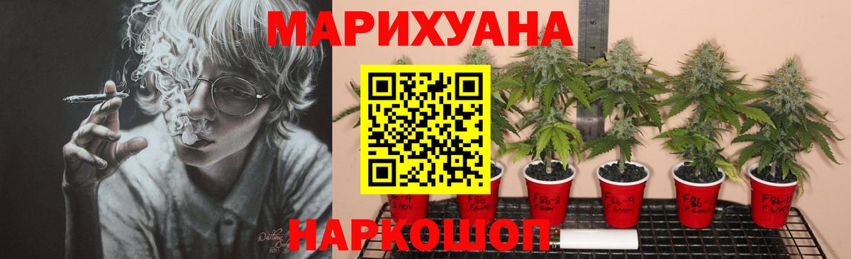 Марихуана конопля  МАРИХУАНА OG Kush  Вход с VPN  МАРИХУАНА MAZAR  Конопля сатива  Усть-Джегута 